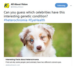 Heterochromia Facts for Kids